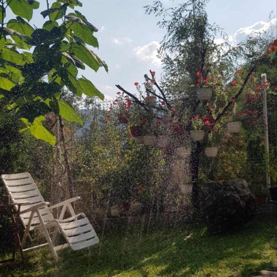 Havva Ξενοδοχείο Călimăneşti Εξωτερικό φωτογραφία