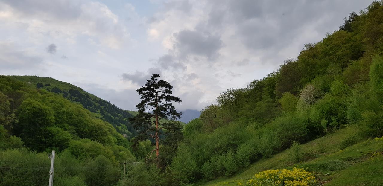 Havva Ξενοδοχείο Călimăneşti Εξωτερικό φωτογραφία