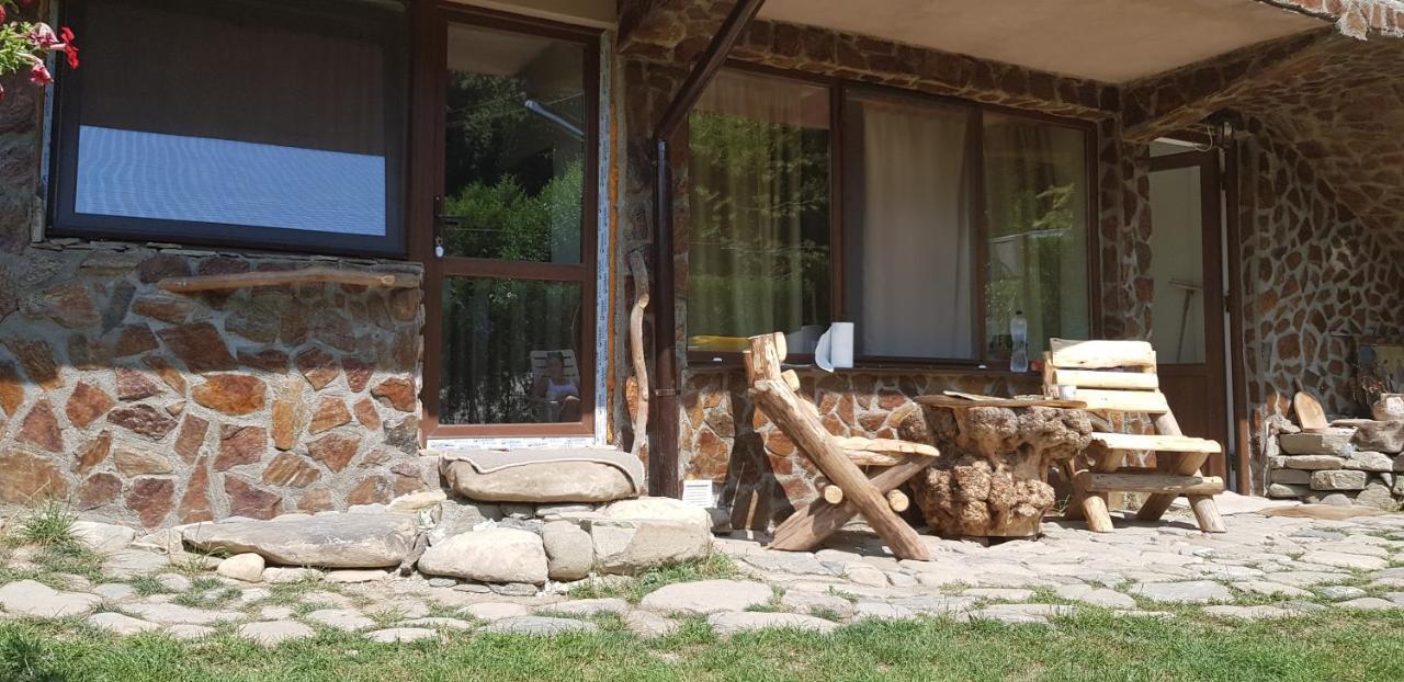 Havva Ξενοδοχείο Călimăneşti Εξωτερικό φωτογραφία